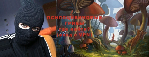 марки lsd Бугульма