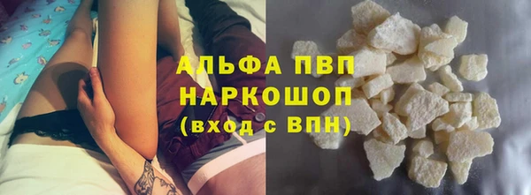 гашик Бородино