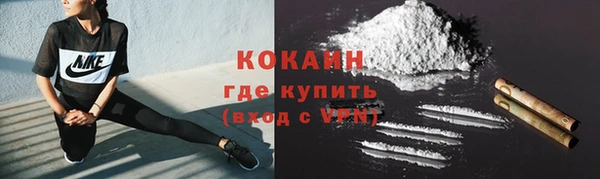 гашик Бородино