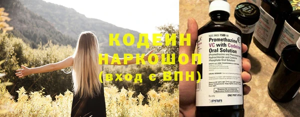 гашик Бородино