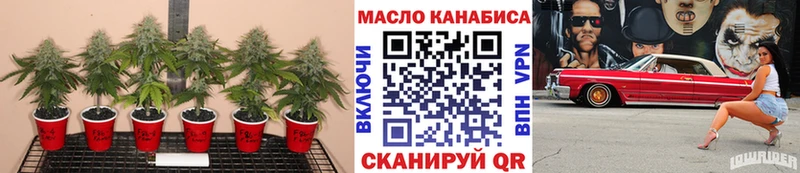 гидра маркетплейс Кодинск Дистиллят ТГК вейп